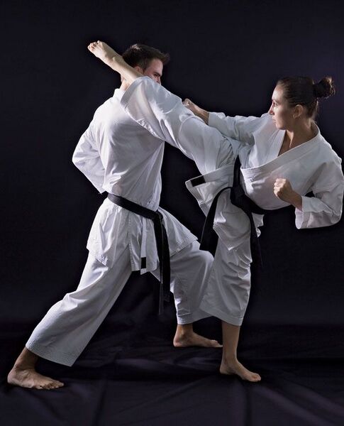 Berkas:Dua praktisi Karate.jpg